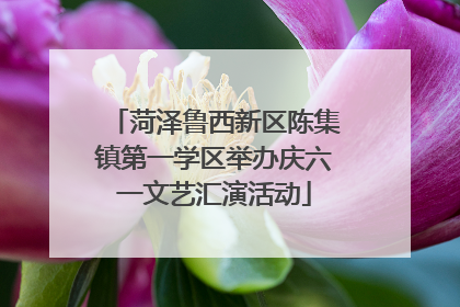 菏泽鲁西新区陈集镇第一学区举办庆六一文艺汇演活动