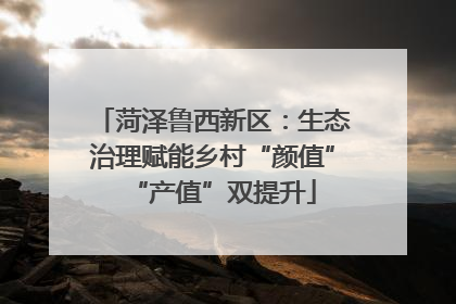 菏泽鲁西新区：生态治理赋能乡村“颜值”“产值”双提升