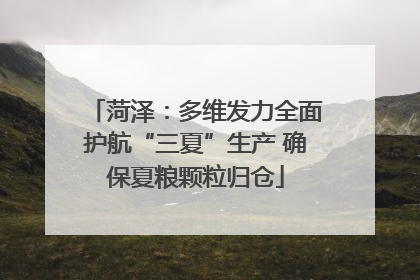 菏泽：多维发力全面护航“三夏”生产 确保夏粮颗粒归仓