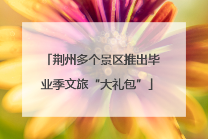 荆州多个景区推出毕业季文旅“大礼包”