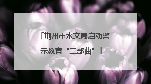荆州市水文局启动警示教育“三部曲”