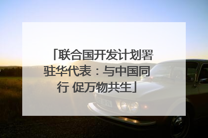 联合国开发计划署驻华代表：与中国同行 促万物共生