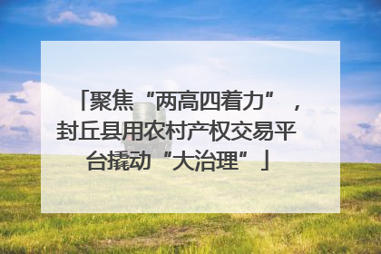 聚焦“两高四着力”，封丘县用农村产权交易平台撬动“大治理”
