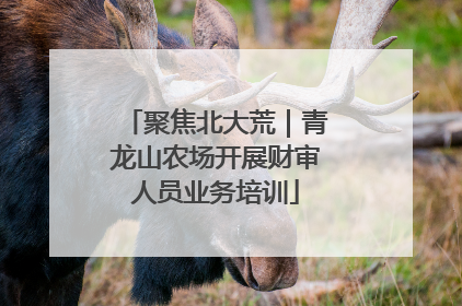 聚焦北大荒｜青龙山农场开展财审人员业务培训
