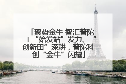 聚势金牛 智汇普陀〡“始发站”发力、“创新田”深耕，普陀科创“金牛”闪耀