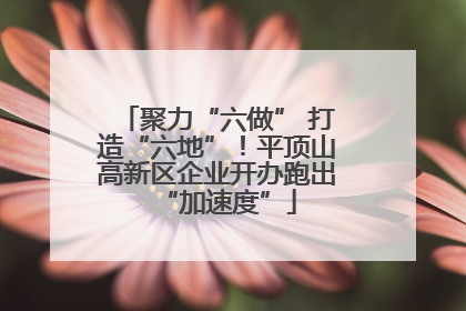 聚力“六做” 打造“六地”！平顶山高新区企业开办跑出“加速度”