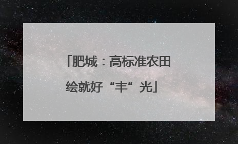 肥城：高标准农田绘就好“丰”光
