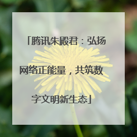 腾讯朱殿君：弘扬网络正能量，共筑数字文明新生态