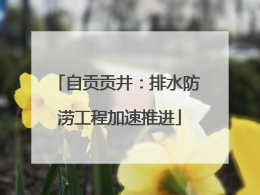 自贡贡井：排水防涝工程加速推进