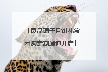 良品铺子月饼礼盒团购定制通道开启