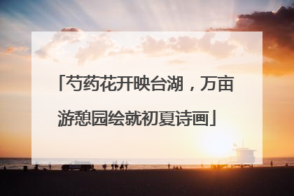 芍药花开映台湖，万亩游憩园绘就初夏诗画