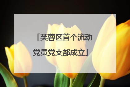 芙蓉区首个流动党员党支部成立