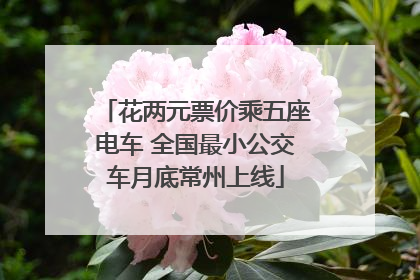 花两元票价乘五座电车 全国最小公交车月底常州上线