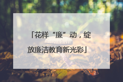 花样“廉”动，绽放廉洁教育新光彩