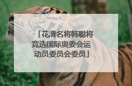 花滑名将韩聪将竞选国际奥委会运动员委员会委员