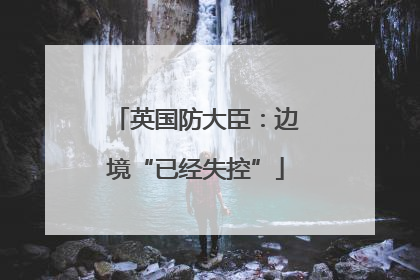 英国防大臣：边境“已经失控”
