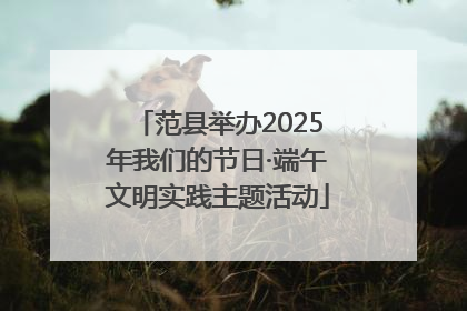 范县举办2025年我们的节日·端午文明实践主题活动