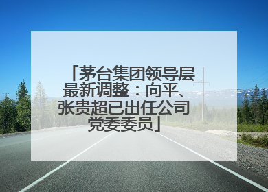 茅台集团领导层最新调整：向平、张贵超已出任公司党委委员