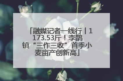 融媒记者一线行丨1173.53斤！李鹊镇“三作三收”首季小麦亩产创新高