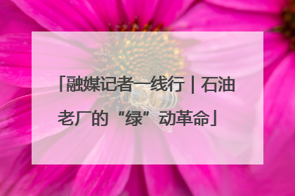 融媒记者一线行｜石油老厂的“绿”动革命