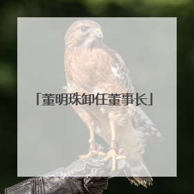 董明珠卸任董事长