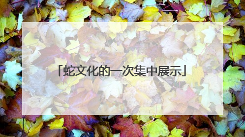 蛇文化的一次集中展示
