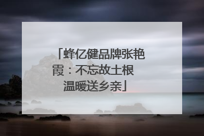 蜂亿健品牌张艳霞：不忘故土根 温暖送乡亲