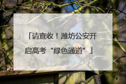 请查收！潍坊公安开启高考“绿色通道”