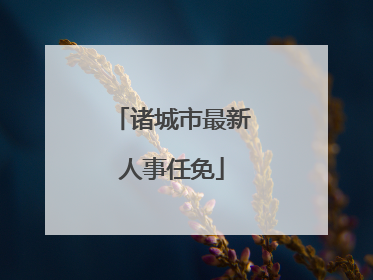 诸城市最新人事任免