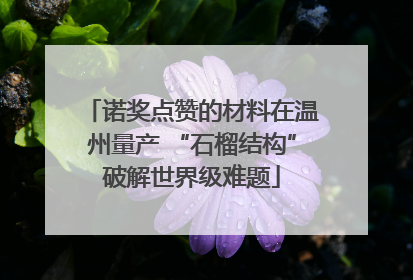 诺奖点赞的材料在温州量产 “石榴结构”破解世界级难题