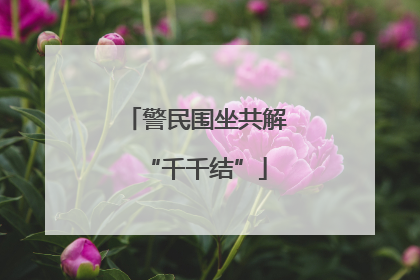 警民围坐共解“千千结”
