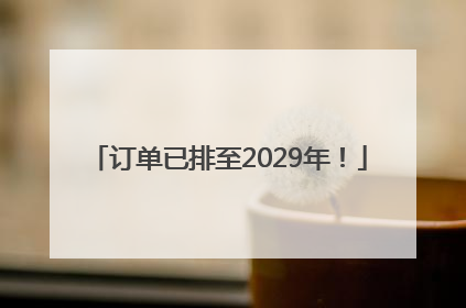 订单已排至2029年！