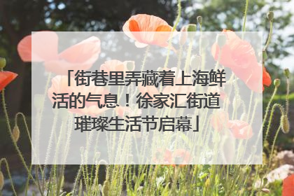 街巷里弄藏着上海鲜活的气息！徐家汇街道璀璨生活节启幕