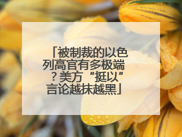 被制裁的以色列高官有多极端？美方“挺以”言论越抹越黑