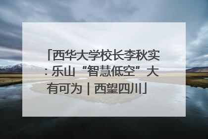 西华大学校长李秋实：乐山“智慧低空”大有可为｜西望四川