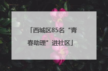 西城区85名“青春助理”进社区
