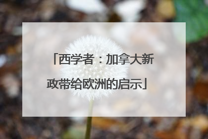 西学者：加拿大新政带给欧洲的启示