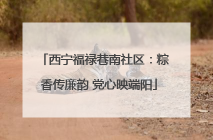 西宁福禄巷南社区：粽香传廉韵 党心映端阳