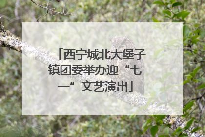 西宁城北大堡子镇团委举办迎“七一”文艺演出