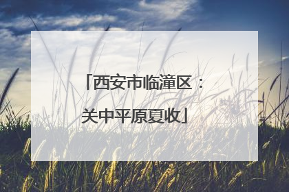 西安市临潼区：关中平原夏收
