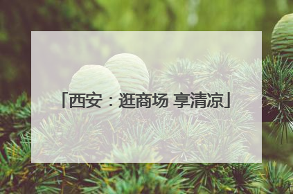 西安：逛商场 享清凉