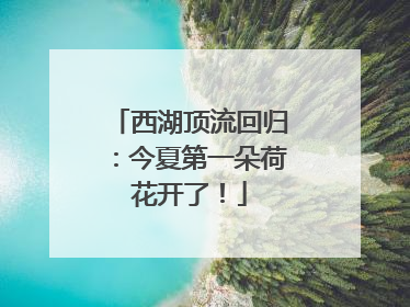 西湖顶流回归：今夏第一朵荷花开了！