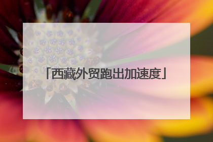 西藏外贸跑出加速度