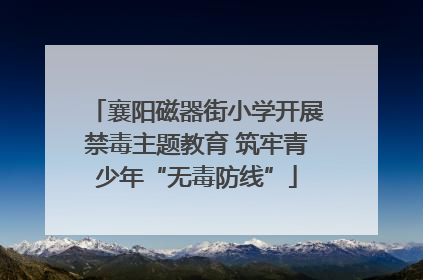 襄阳磁器街小学开展禁毒主题教育 筑牢青少年“无毒防线”