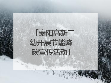 襄阳高新二幼开展节能降碳宣传活动
