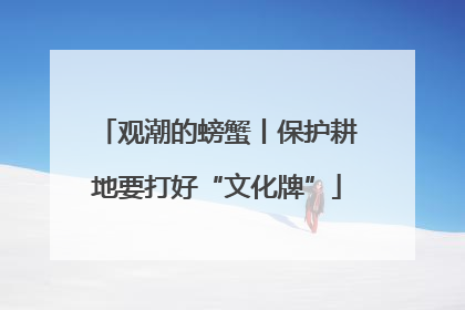 观潮的螃蟹丨保护耕地要打好“文化牌”