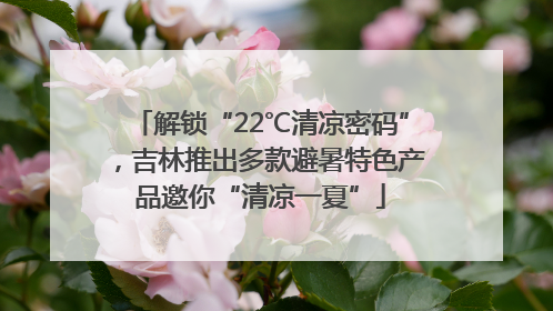 解锁“22℃清凉密码”，吉林推出多款避暑特色产品邀你“清凉一夏”