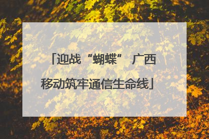 迎战“蝴蝶” 广西移动筑牢通信生命线