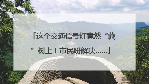 这个交通信号灯竟然“藏”树上！市民盼解决……