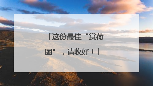 这份最佳“赏荷图”，请收好！